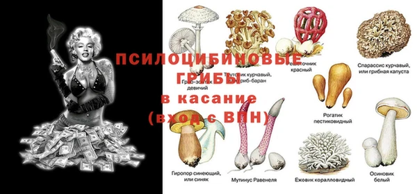 МДПВ Алексеевка